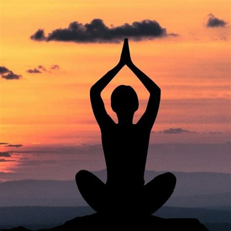 Yoga For Beginners Pravasisamwad
