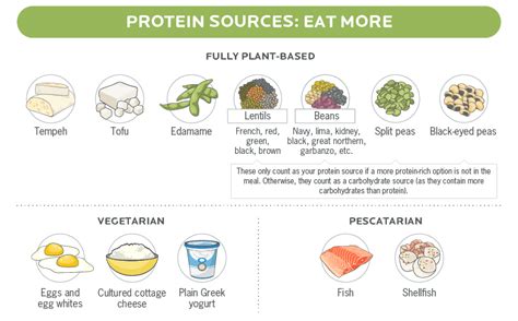 plant based protein a guide from precision nutrition
