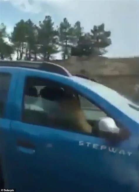 Couple Filmed Having Sex While Driving Along Spanish Motorway Are