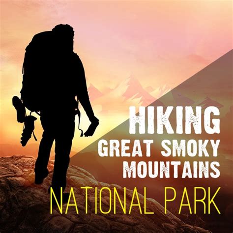 Hiking In Great Smoky Mountain National Park By Padamati Usha Rani