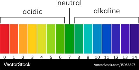 Chart Ph Alkaline And Acidic Scale Royalty Free Vector Image