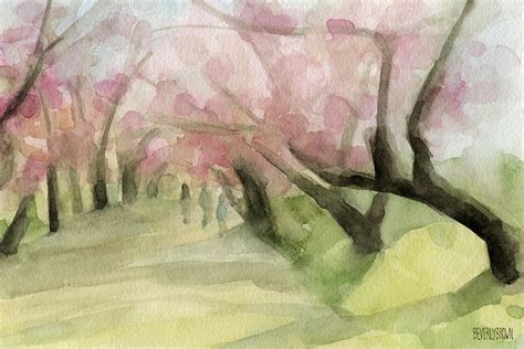 Watercolor Painting Of Cherry Blossom Trees In Central
