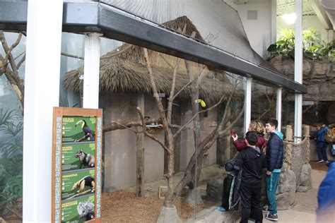Mammal And Toucan Enclosure Zoochat