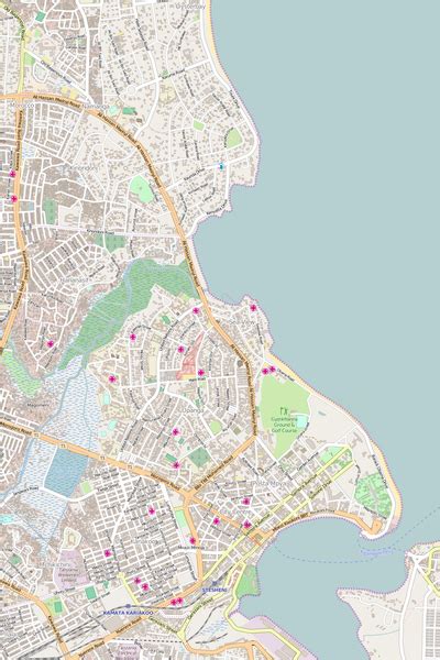 editable city map of dar es salaam map illustrators