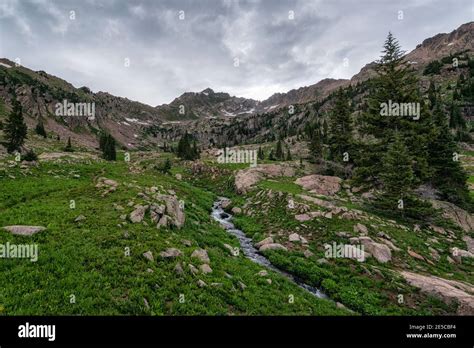 Landscape In The Eagles Nest Wilderness Colorado Stock Photo Alamy