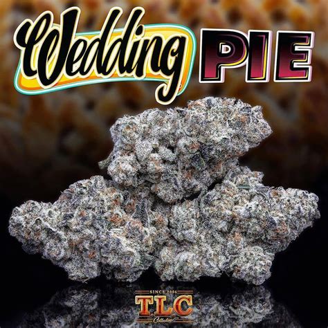 More less than jake albums. Buy Wedding Pie weed Online Jungle Boys Farm