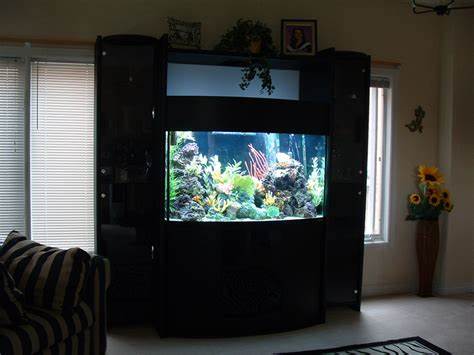 Aquarium Installation Type: Saltwater (fish only with artificial coral 