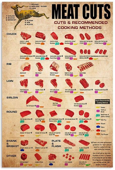 Poster Deer Meat Cuts Poster Poster Wall Art Print Size X Poster