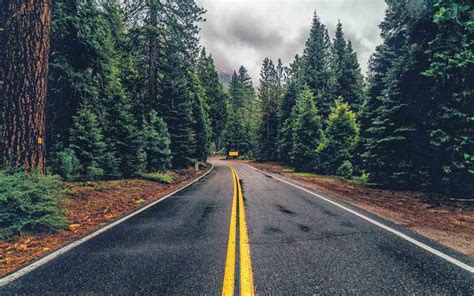 🔥 Forest Nature Road Background Full Hd Download Free Cbeditz
