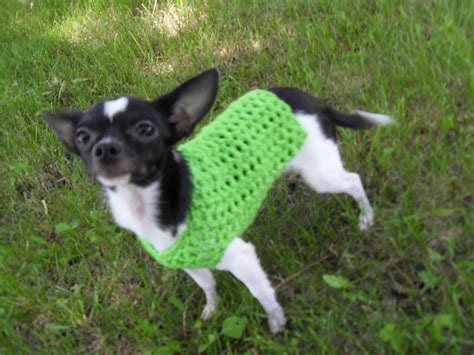 Crochet Patterns Galore Any Occasion Dog Sweater