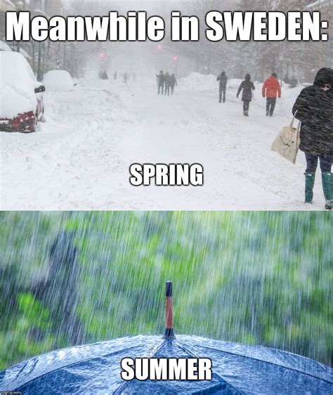 swedish memes and s imgflip