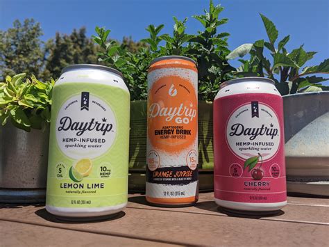 Hemp Cbd Infused Sparkling Water Drink Daytrip Review — The Bossy Sauce