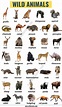 List of Animals: A Big Lesson of Animal Names with the Pictures! - ESL ...