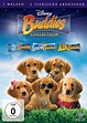 Buddies Collection (DVD)