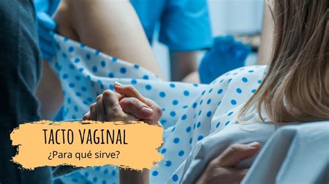 Tacto Vaginal C Mo Medir La Dilataci N Y El Borramiento Del Cuello