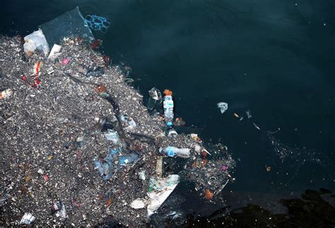 Así Detectamos Y Contamos La Basura Que Flota En El Mar