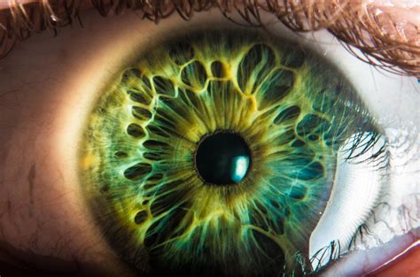 Eye Iris Pupil Il Occhio Ojo Color Texture