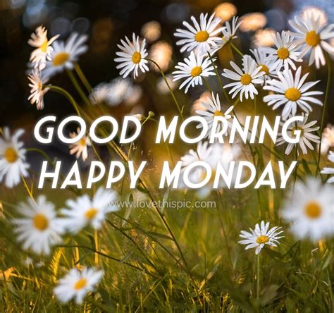 I'll be seeing her again next monday. Meadow Of Daisies: Good Morning Happy Monday Pictures, Photos, and Images for Facebook, Tumblr ...