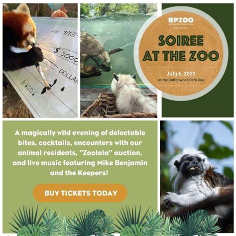 The Buttonwood Park Zoo Named One Of The Finest Small Zoos In America