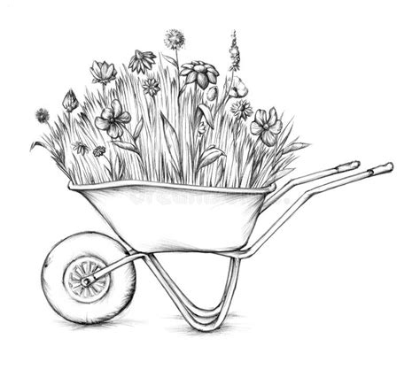Flower Meadow In Wheelbarrow Stock Illustration Illustration Of Hand