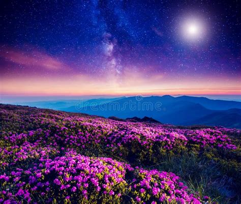 Starry Night In Mountain Stock Photo Image Of Bloom 80396840