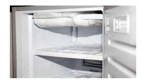 How long does it take to defrost a fridge? - Helpful Monk