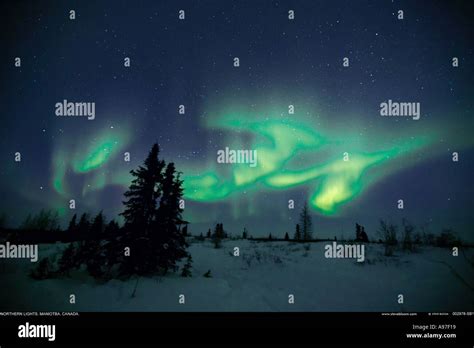 Northern Lights Aurora Borealis Canada Stock Photo Alamy