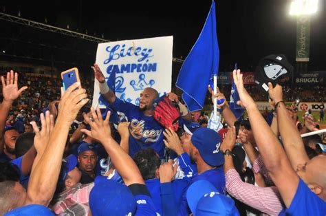 Tigres Del Licey Campeones Nacionales 2016 2017 Licey Com