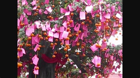 Other east asian and southeast asian countries such as korea, japan, vietnam, singapore, malaysia. Chinese New Year Special: Wishing Tree and Wishing Pond 1 ...