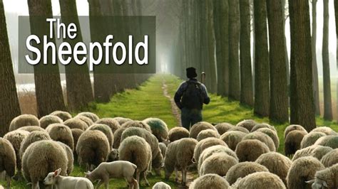 Manufacturers Handbook Feed Tend My Sheep Psalms 23 Good Shepherd