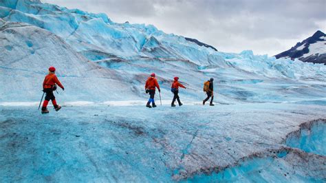 Mendenhall Glacier Usa Sights Lonely Planet