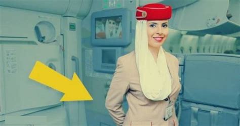 طالب سعودي ينجح في خداع مضيفة طيران أثناء الرحلة والأخيرة تمنحه مليون ونصف وهكذا كانت
