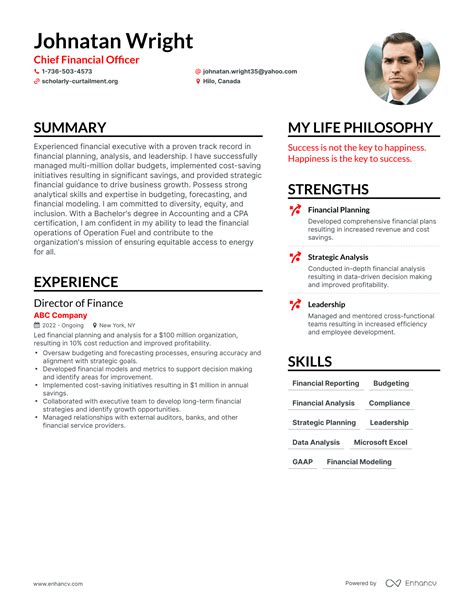 3 Chief Financial Officer Resume Examples And How To Guide For 2024