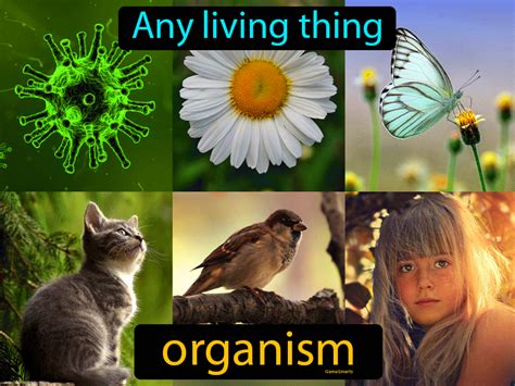 Organism Definition And Image Gamesmartz