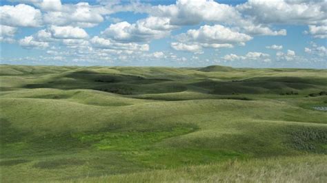 Grasslands Are Among Most Endangered Ecosystems Rci English