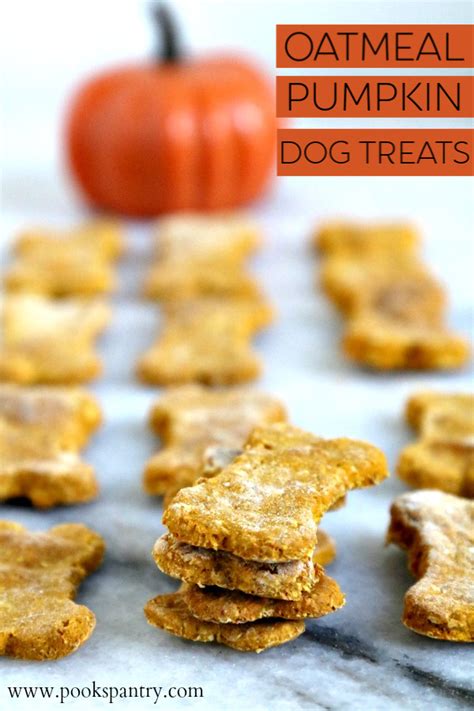 Oatmeal Pumpkin Dog Treat Recipe Pooks Pantry Recipe Blog Wzrost
