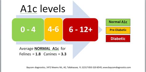 What Is Normal A1c Level 6 Ways To Lower Your A1c Level N4gm