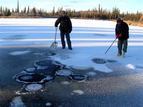 Arctic Permafrost Carbon Study Predicts Imminent ‘really