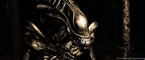 3440x1440 Alien Wallpapers Top Free 3440x1440 Alien Backgrounds