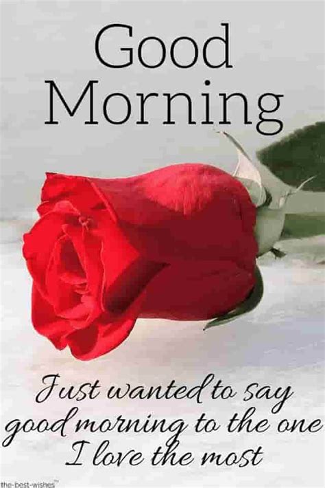 It's a great time to pursue one's dream and a day to express how you feel to the one you love, especially a loved one like your husband. Pin on Good Morning Wishes