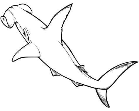 Hammerhead Shark Coloring Pages Iftttjgohnuh