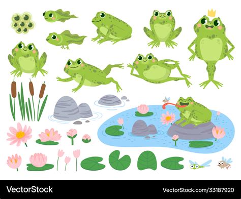 Cartoon Frogs Green Cute Frog Egg Masses Vector Image