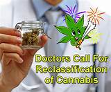 Pictures of Medical Cannabis Doctors