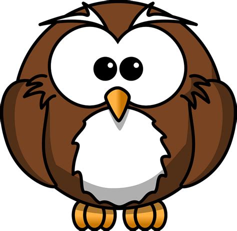 Cartoon Owl Clipart Free Download Transparent Png Creazilla