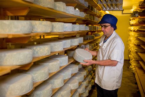 High Weald Dairy | Our cheese-making process | High Weald Dairy