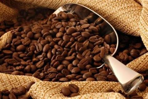 Cameroonian Robusta Coffee Rises To Multi Month High In May 2021 As