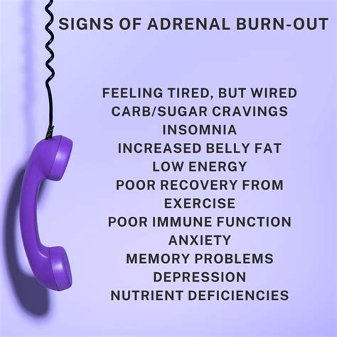 Adrenal Fatigue Recovery Your Quick Guide To Adrenal Fatigue 23