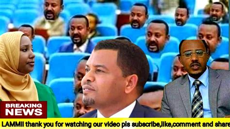 Oduu Voa Afaan Oromo Ijoo Arraa Youtube