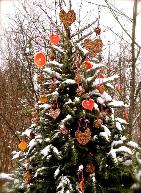 Mesh has a variety of decorative options in many colors and it has the perfect mix of flexibility and stiffness, which makes a popular material for christmas tree decorations. Our Giving Tree ~ A Valentine For The Birds! | Outdoor ...