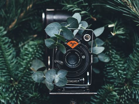 Outstanding Film Photographers On Instagram To Follow And Get You Into Shooting Analog